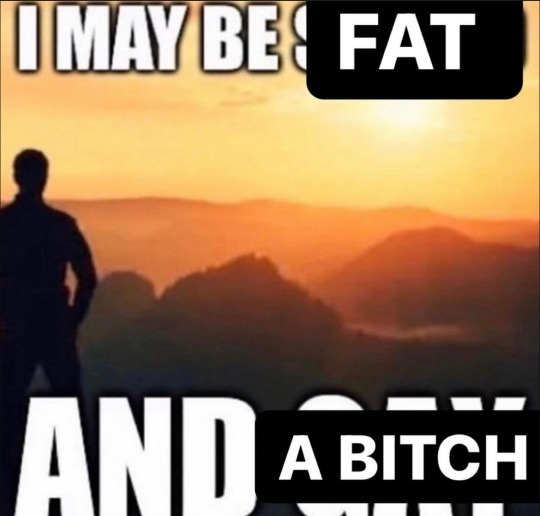 i may be fat and a bitch