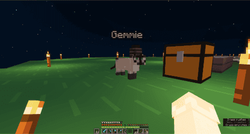 Minecraft screenshot 6. A cat, named Gemmie.